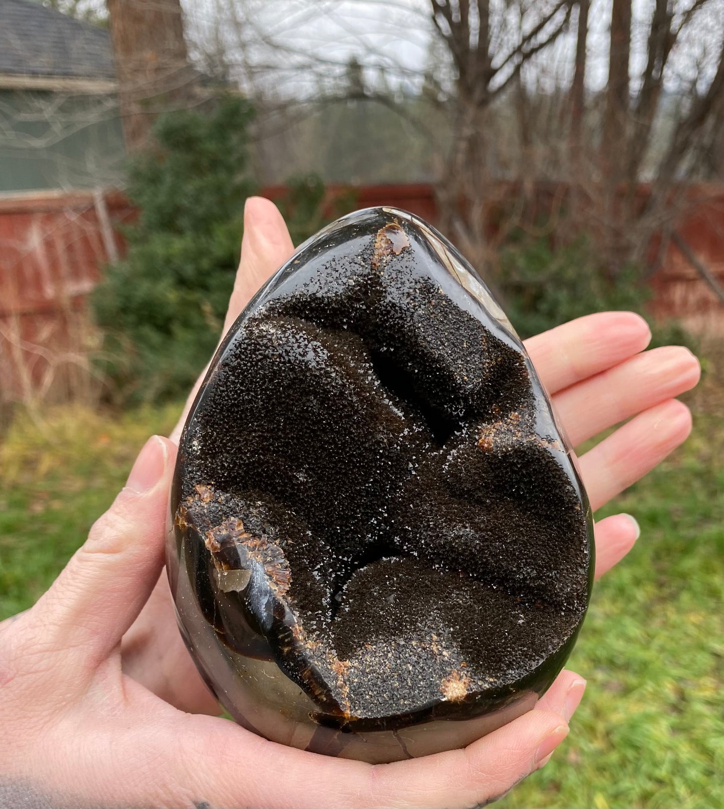 Septarian Nodule