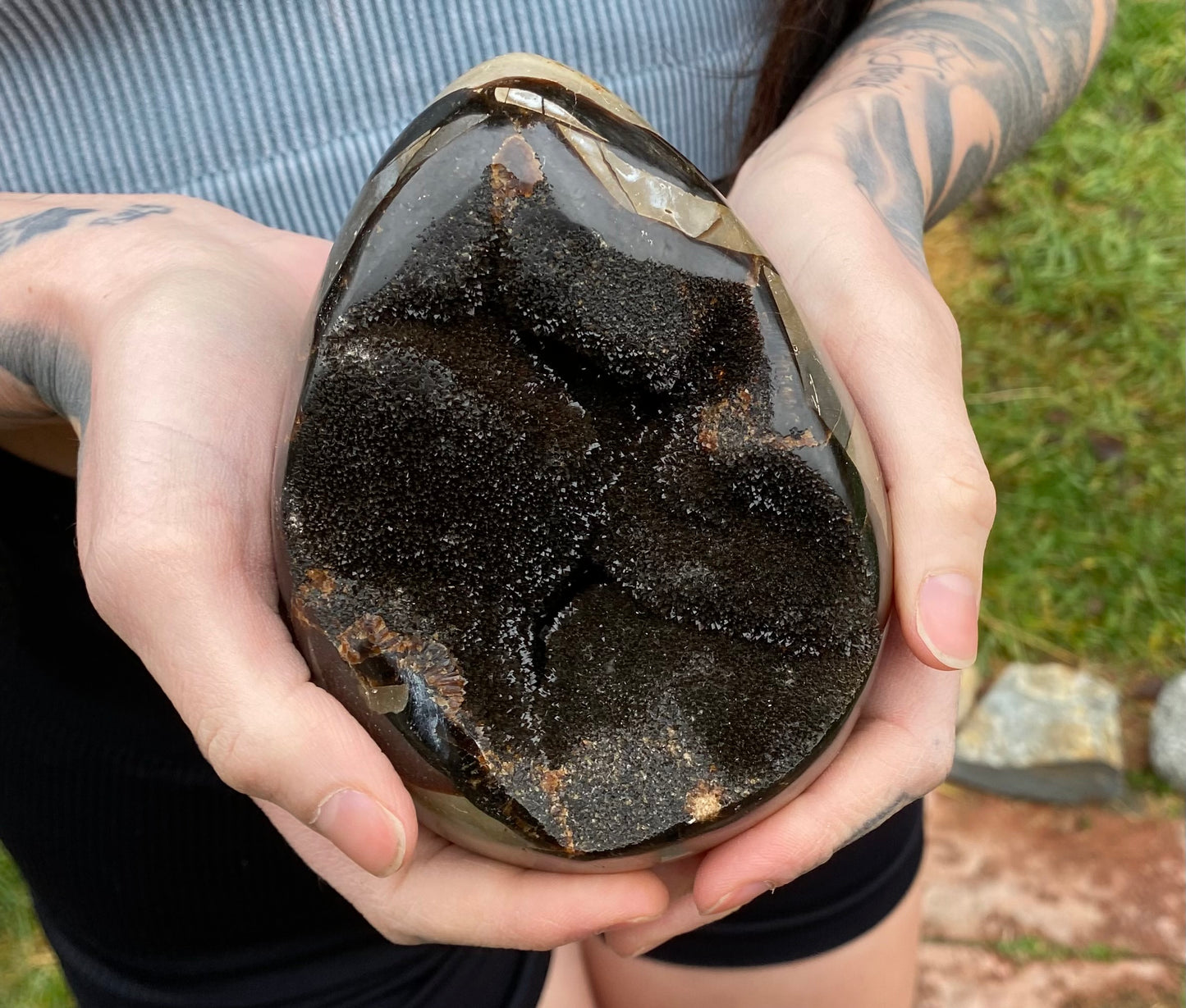 Septarian Nodule